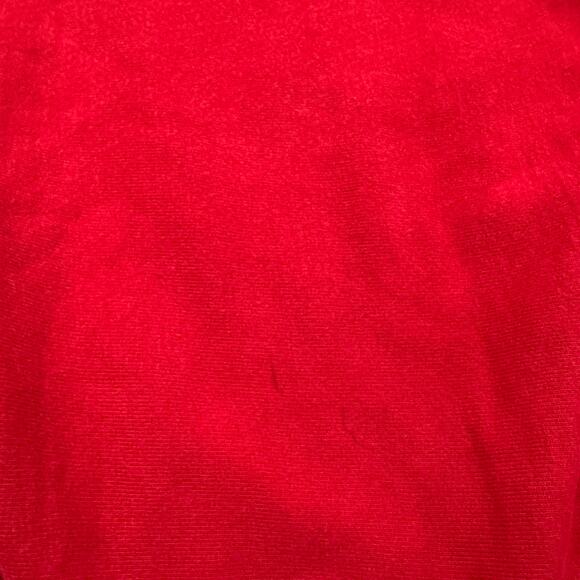 Vintage Champion Reverse Weave Sweatshirt Large Wisconsin Detroit Alumni Club - Picture 4 of 8